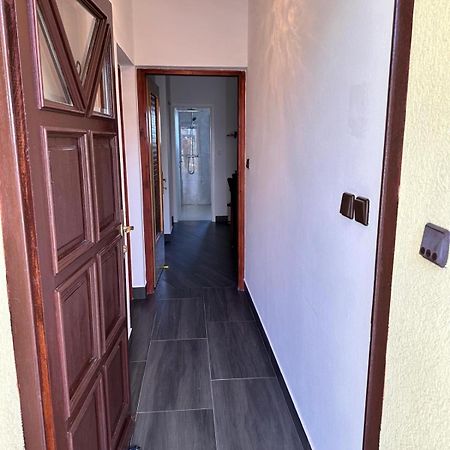 Apartman Nikola Salatić エクステリア 写真